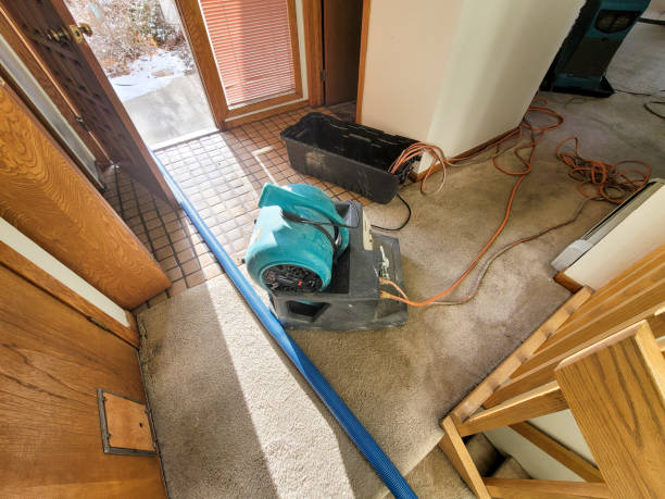 Best Carpet water damage restoration  in Pheasant Run, OH