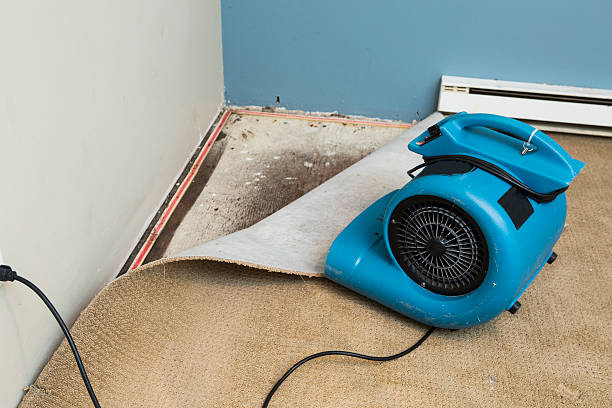 Best Sewage cleanup and water damage restoration  in Pheasant Run, OH